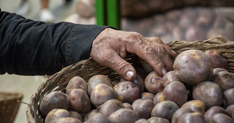 Residuos de papa, materia prima para generar combustibles limpios