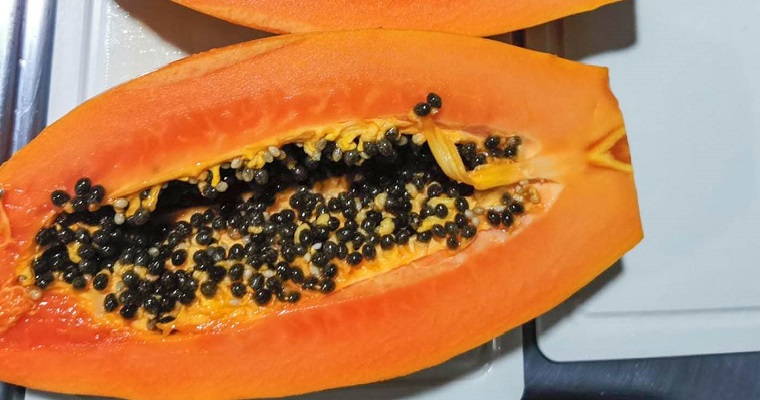 En cáscara de papaya buscan antioxidantes con potencial para la industria alimenticia