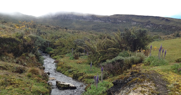 “Cambio climático en Colombia, evidencias desde la ciencia”, nuevo Especial transmedia de Periódico UNAL