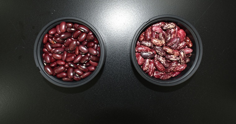 Nueva tecnología para disminuir el tiempo de remojo de los fríjoles