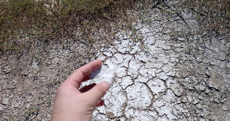 Urge evaluar los suelos afectados por sales en Colombia