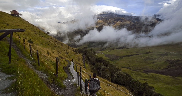 Caficultura con sombrío y vías verdes reactivaría la economía en Caldas