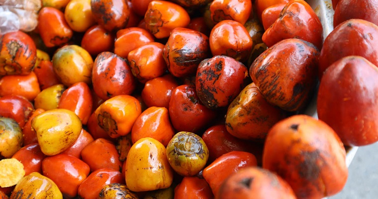 Chontaduro rojo: su potencial nutricional no está solo en la pulpa, también lo tiene en la cáscara