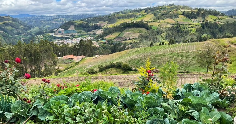 Proyecto “Territorio, Comida y Vida” atiende inseguridad alimentaria en el sur de Colombia