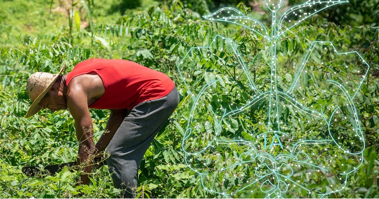 Inteligencia artificial (IA) identifica zonas aptas para la agricultura en Colombia