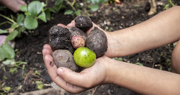 Reforma agraria y zootecnia, la unión que necesita el campo colombiano