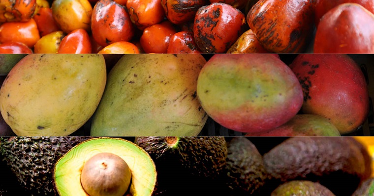 Mango, aguacate y chontaduro, frutas aliadas en la transformación de la agroindustria nacional