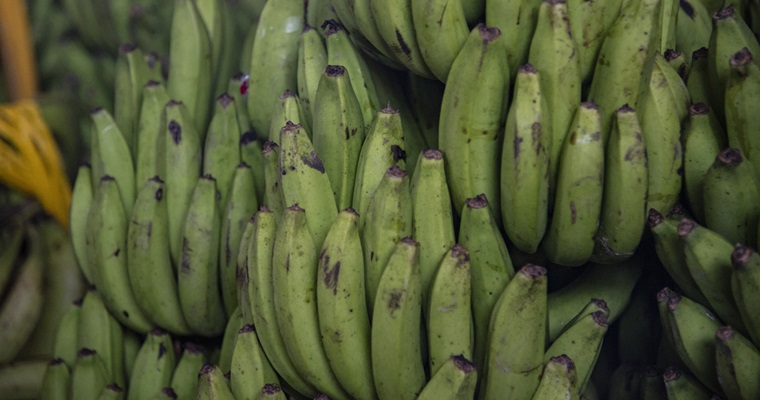 Harina de plátano: menos humedad y mayor durabilidad