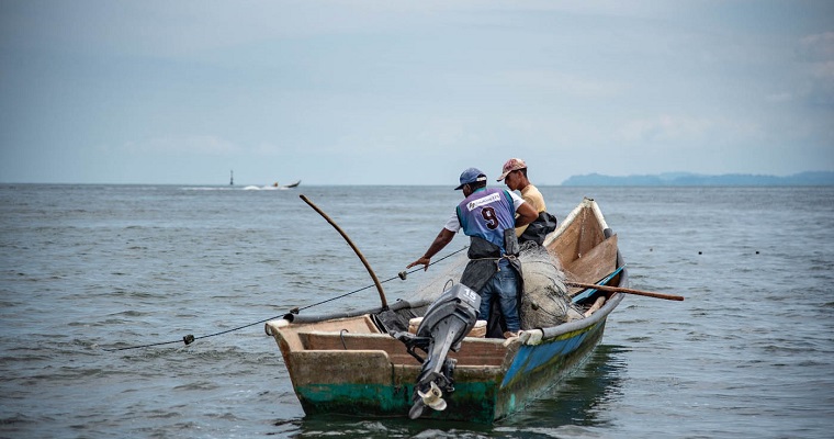¿Dónde y cuándo pescar pargo rojo o atún? Pescadores podrían saberlo gracias a la estadística