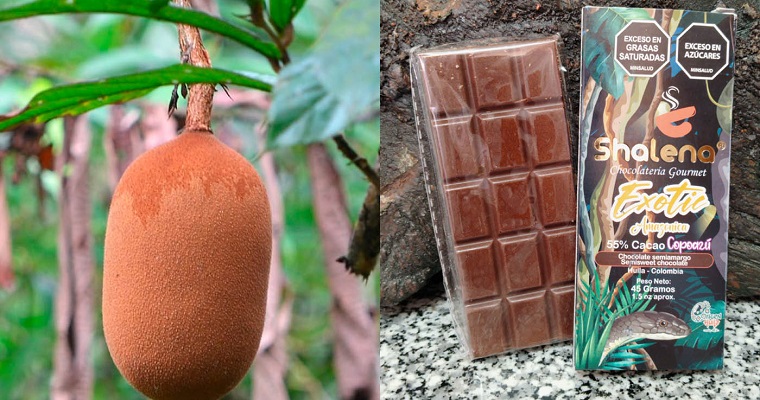 Chocolate con menos grasas saturadas gracias al copoazú amazónico