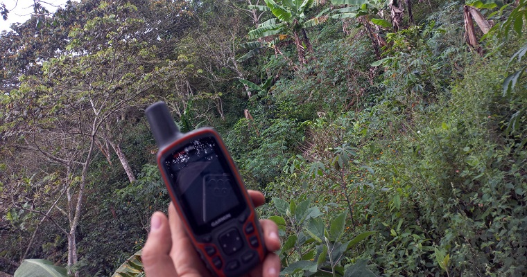 Cómo cuidar los suelos para evitar la erosión en época de lluvias