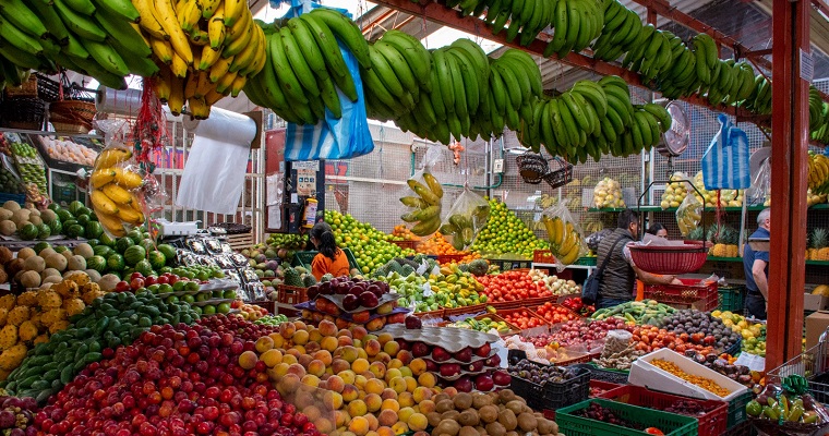 Con mosca soldado reducirán desperdicio de alimentos en el Valle del Cauca