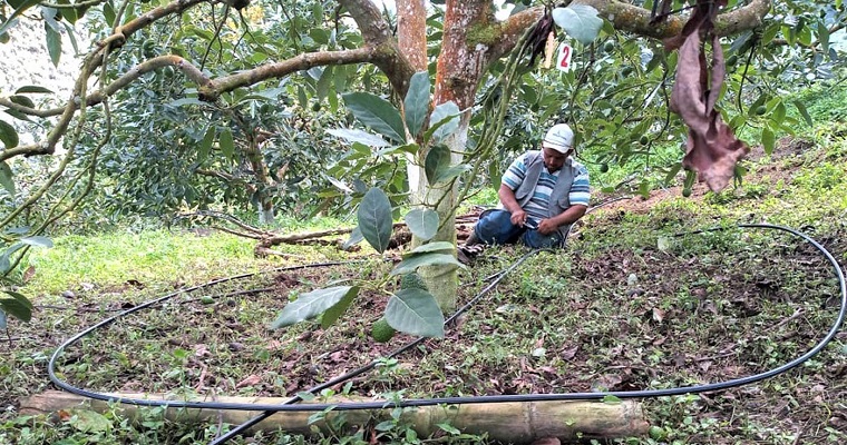 Campesinos de Colombia, Ecuador y Perú, beneficiados por técnica de fertirriego
