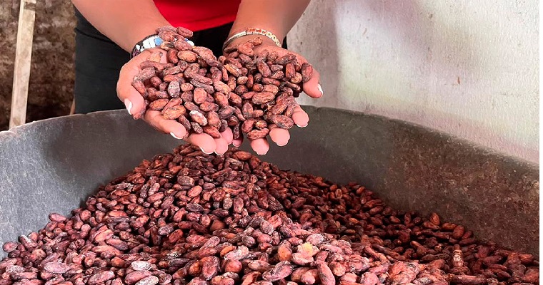 UNAL fortalece estrategias de comercialización de cacao con mujeres tumaqueñas