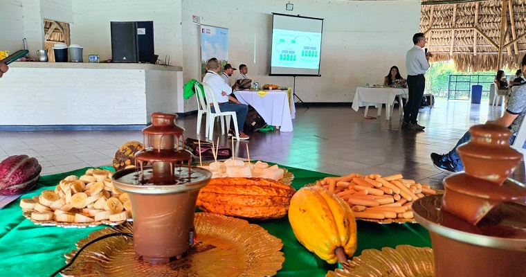 Cacao impulsa la economía de territorios afectados por el conflicto armado en Florida