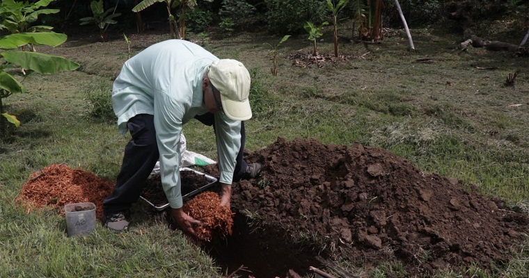 Además de fertilizar, lombrices ayudan a capturar más carbono en el suelo