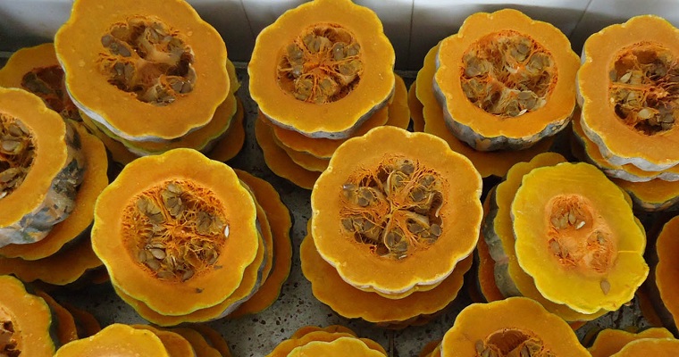 Yogur a base de ahuyama reduciría contaminación en procesos lácteos