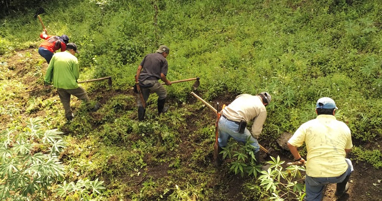 Agroecología, práctica campesina de resistencia latinoamericana