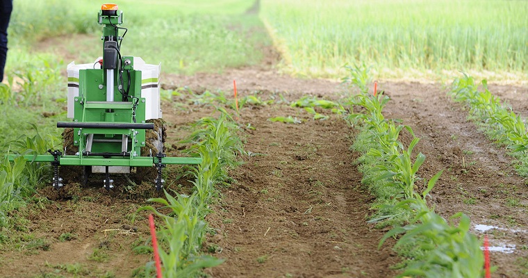 Agricultura digital, de precisión e inteligente, la nueva forma de producir alimentos