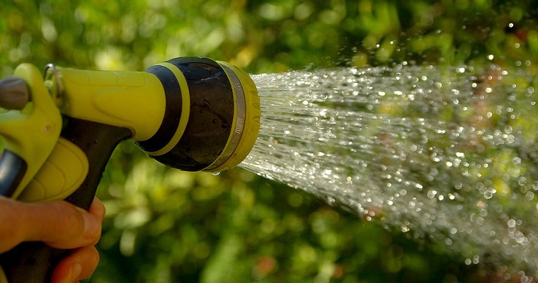 Bacterias que resisten los altos niveles de cadmio, posible solución en suelos cacaoteros