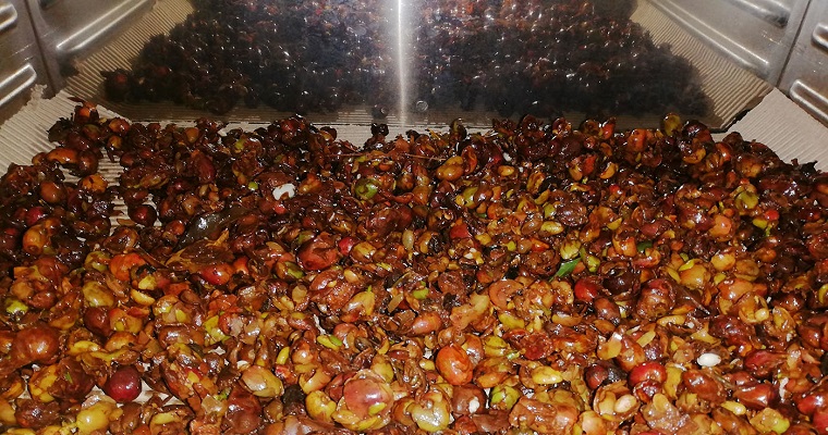 Con residuos de café se obtiene compuesto clave para obtener biocombustibles