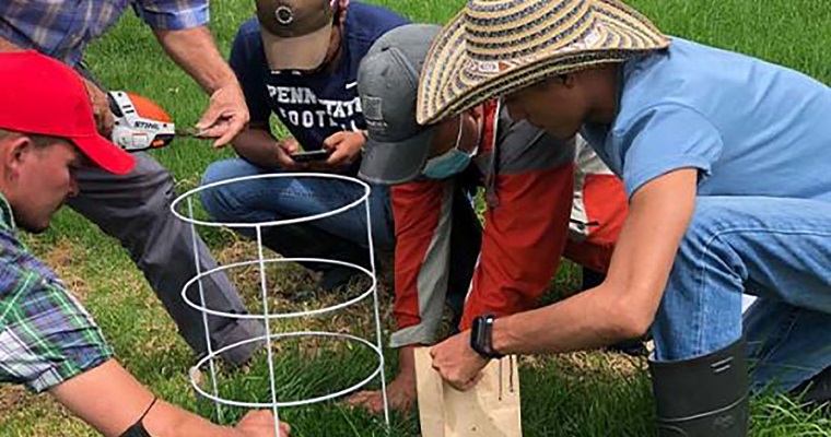 Cortes de los pastos a ciertas alturas mejora la producción lechera