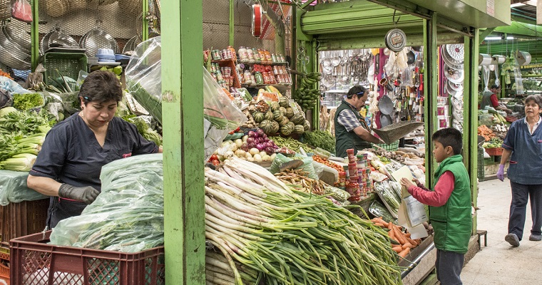 Manejo ecológico de cebolla ayudaría a recuperar el suelo en el Valle