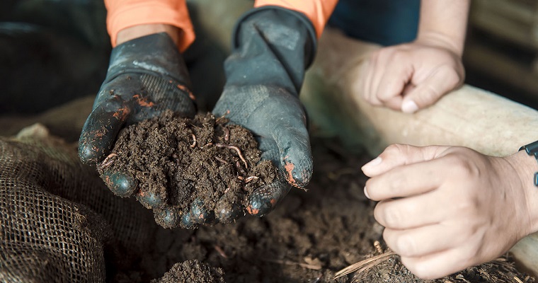Extensión agropecuaria del país debe incluir enfoque agroecológico