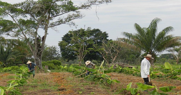 Bio-Agro-Energético, proyecto que apuesta por uso múltiple del suelo en el Caribe colombiano
