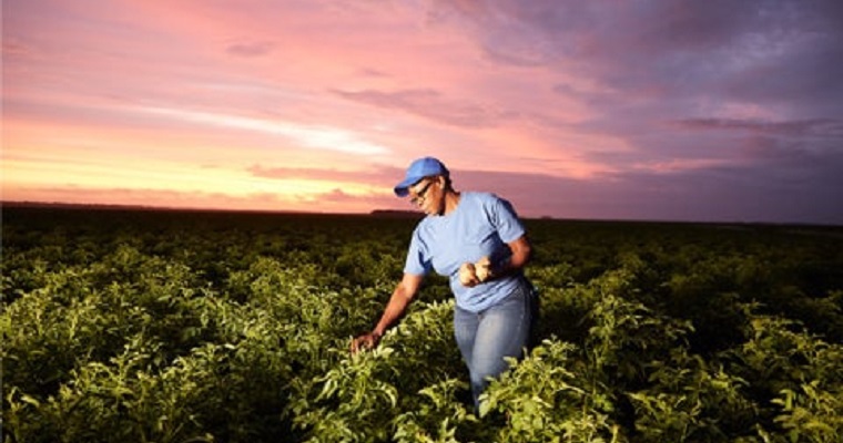 'EARTH IS SAYING', la iniciativa que pretende generar conciencia ambiental en redes sociales