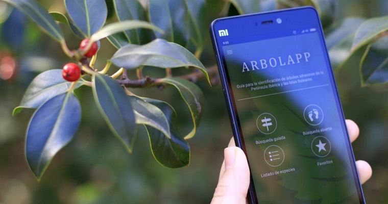 LAS MEJORES APPS PARA IDENTIFICAR FLORES, ÁRBOLES Y PLANTAS SILVESTRES