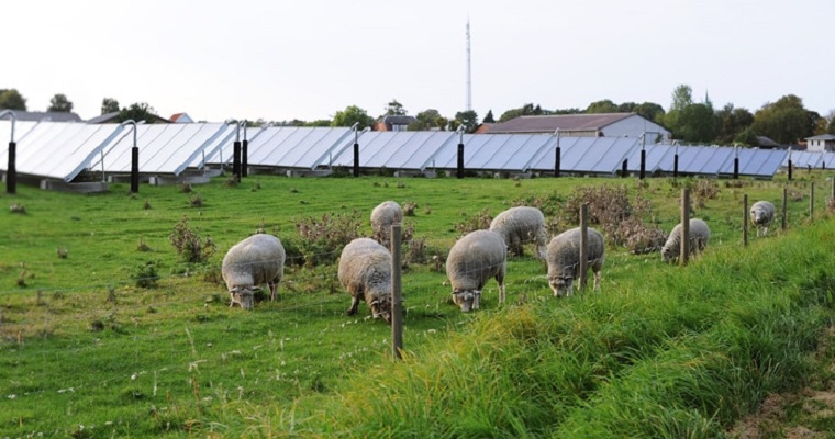 Cultivos y energía solar, una radiante (y sostenible) simbiosis