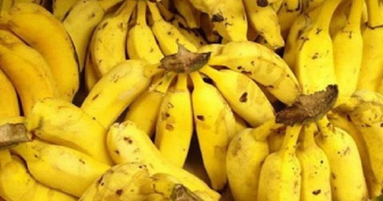 Luego de dos años, regresa el congreso técnico bananero de Colombia