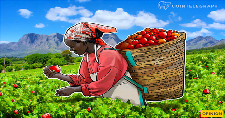 El uso de la Blockchain para el sector agrícola. Caso Latinoamérica