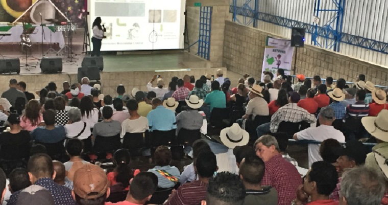 Productores antioqueños se capacitan para prevenir enfermedades del plátano y banano
