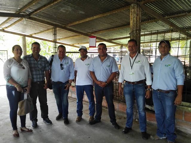 El ICA actualizó a productores ovino caprinos del Caquetá - 20 de septiembre de 2017