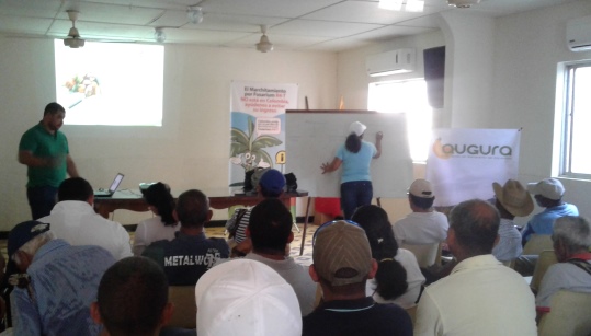 ICA y AUGURA capacitan a 126 productores de banano del Magdalena para renovación y registro de predios exportadores - 31 de julio de 2017