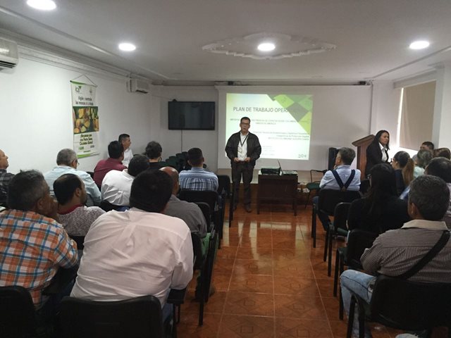 Citricultores del Quindío en sintonía con las exportaciones hacia Los Estados Unidos