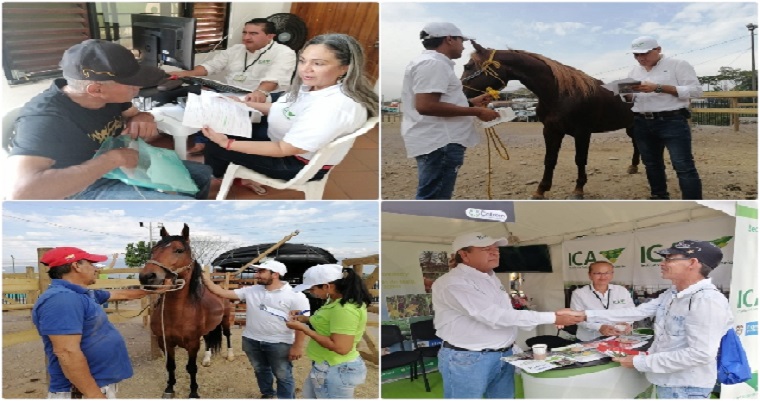 Con el respaldo del ICA, avanza Expomalocas 2020