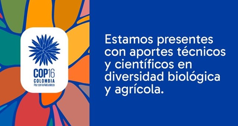 #PazConLaNaturaleza: el ICA se consolida como actor clave en la COP16 sobre Diversidad Biológica