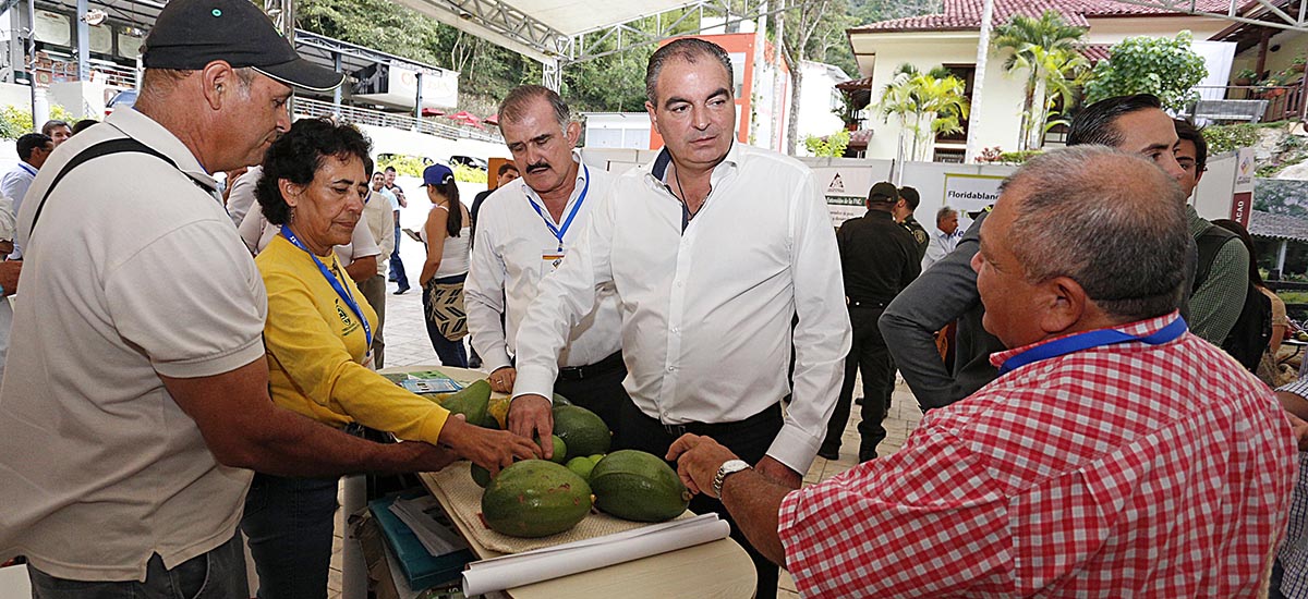 Pequeños y medianos productores son los mayores beneficiarios de crédito agropecuario - 07 de septiembre de 2016