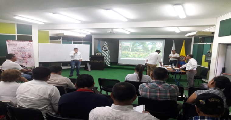 Calidad fitosanitaria y competitividad, objetivos de la Mesa Técnica del Cacao en el Meta