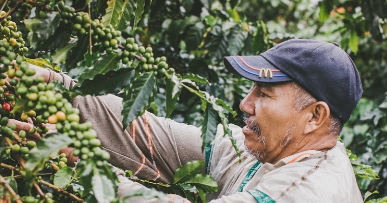Café: Producto Insignia de Colombia para el Mundo