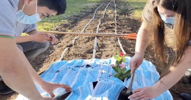 Los proyectos innovadores que reciclan las mascarillas