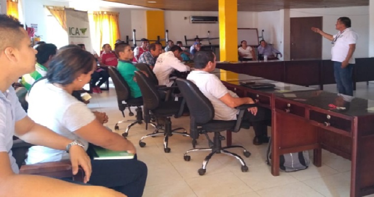 Productores de Caquetá trabajan por la calidad de sus cultivos de cítricos