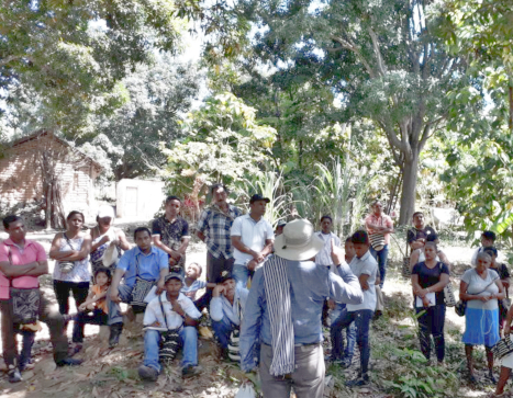 El buen manejo integrado del cultivo de mango asegura su sabor y calidad