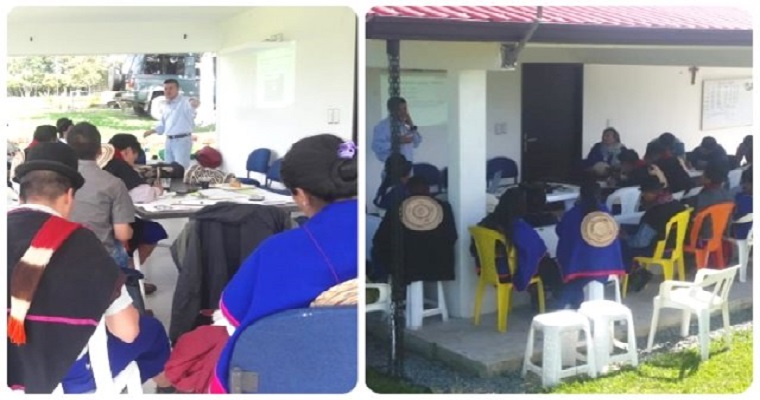 Productores indígenas del Cauca se capacitan en Buenas Prácticas Agrícolas