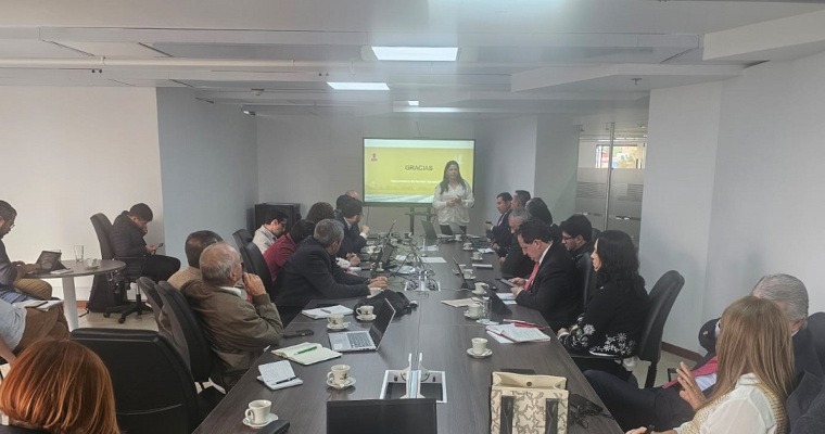 Conclusiones de la sesión extraordinaria del Consejo Nacional del Arroz