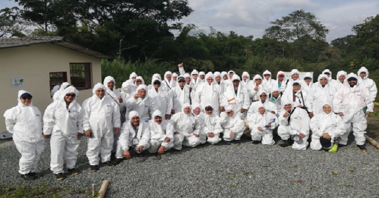 El ICA guía y apoya a productores de Cundinamarca, para lograr una mejor producción de plátano y banano