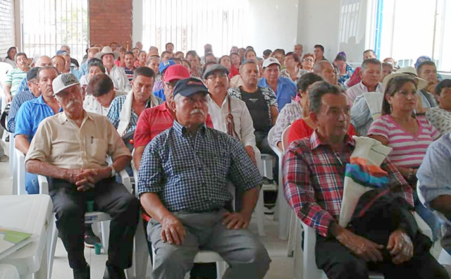 El ICA trabaja en el control de moko del plátano en el departamento de Cundinamarca